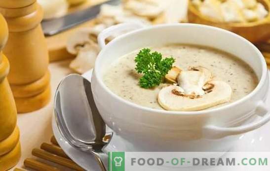 Zuppe fragranti di champignon: ricette passo-passo. Preparare un semplice ripieno e una zuppa crema europea di champignon (passo dopo passo)