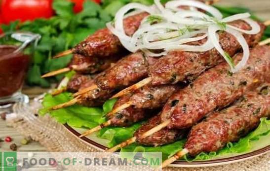Kebab tradizionale alla griglia: da cosa e come. Ricette per lula kebab a base di agnello, maiale, pollo e patate