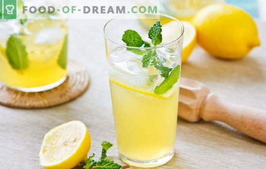 Bevanda al limone: energia e vitamine in un bicchiere. Ricette bevande al limone: limonata fresca o infuso caldo