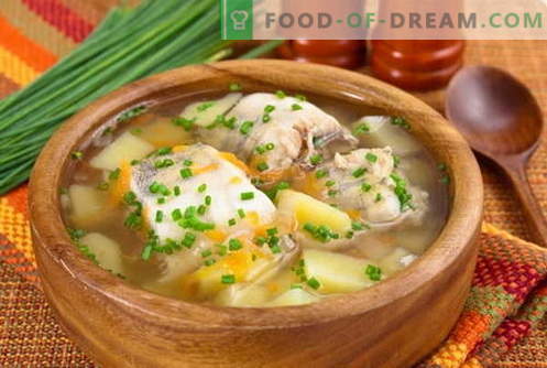 Zuppa di pesce - le migliori ricette. Come cucinare correttamente e gustoso zuppa di pesce.