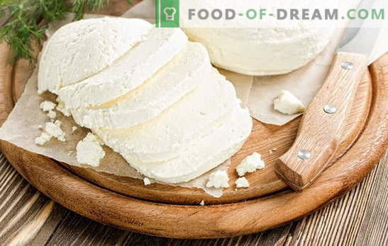 Adyghe formaggio a casa: delizioso sotto qualsiasi nome! Ricette per il formaggio Adygei fatto in casa