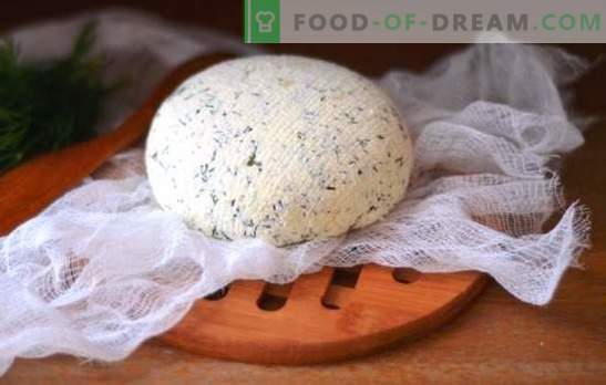 Il formaggio Kefir a casa - gustoso, economico, salutare. Come fare diversi tipi di formaggio kefir a casa