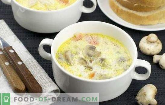 Zuppa di pollo con funghi - un ottimo primo piatto. Ricette semplici per zuppa di pollo con funghi: fresca, secca e in scatola
