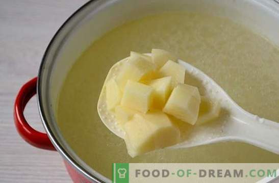 Supă de ciuperci cu pui și brânză topită: un prim curs frumos și sănătos. Rețetă foto pentru supă cu pui și brânză topită: pas cu pas
