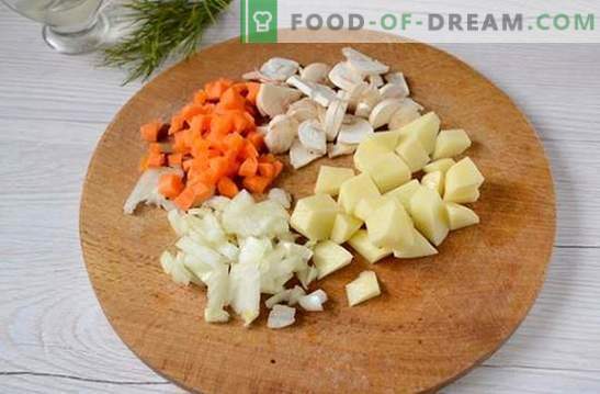 Supă de ciuperci cu pui și brânză topită: un prim curs frumos și sănătos. Rețetă foto pentru supă cu pui și brânză topită: pas cu pas