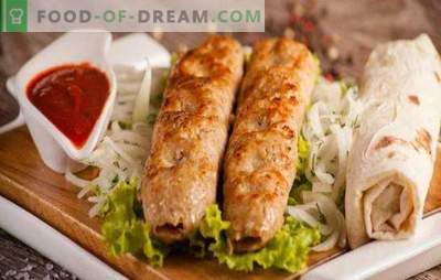 Il kebab di pollo è un piatto gustoso e originale in meno di un'ora. Kebab di pollo al forno, in padella e grill