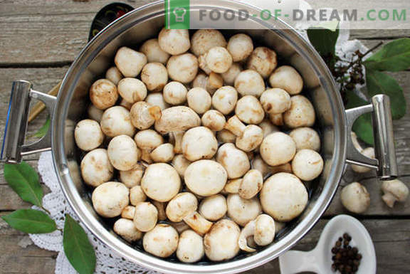 Funghi champignon marinati fatti in casa per 1 giorno