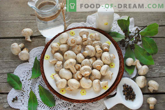 Funghi champignon marinati fatti in casa per 1 giorno