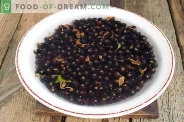 Ribes nero con zucchero per l'inverno del metodo di raccolta 