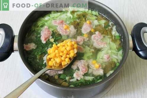 Zuppa verde a base di verdure giovani - piatto estivo per tutti i giorni