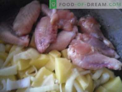 Come cucinare deliziose ali di pollo al forno con miele e salsa di soia