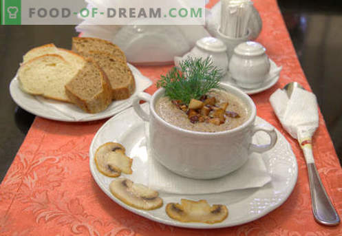 Zuppa di purea di champignon - ricette collaudate. Come cucinare correttamente e deliziosamente una zuppa di champignon.