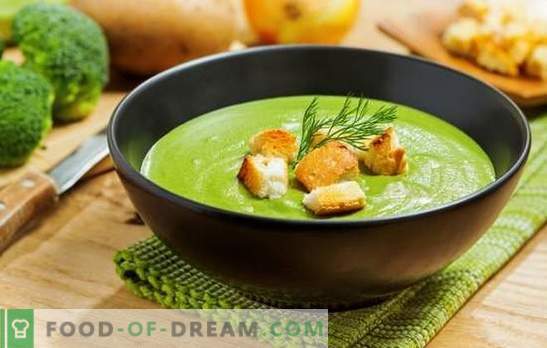 Zuppa di purea di broccoli - per salute, mente e bella figura. Ricette per zuppe crema di broccoli con panna, formaggio, pollo, funghi