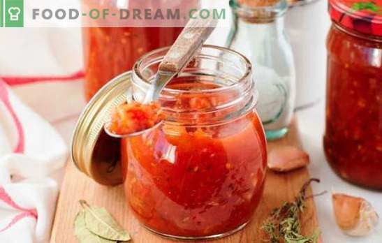 Salsa di pomodori e mele - condimento piccante per piatti di pesce e carne. Come cucinare una salsa di pomodori e mele con spezie