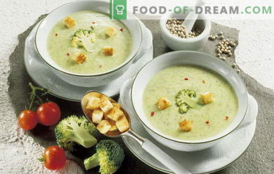 Come cucinare una zuppa ricca di dieta: le migliori ricette. Minestra di verdure dietetica semplice e non solo