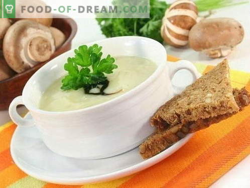 Zuppa di funghi - le migliori ricette. Come cucinare correttamente e gustoso zuppa di funghi.