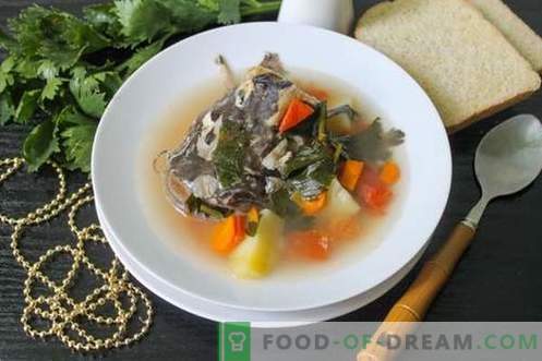 Zuppa di pesce gatto - come cucinarla correttamente e gustosa (ricetta con foto)