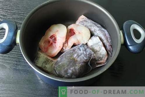 Zuppa di pesce gatto - come cucinarla correttamente e gustosa (ricetta con foto)