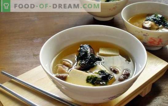 Zuppa di funghi ostrica - un piatto aromatico per il pranzo in qualsiasi momento dell'anno. Le migliori ricette di zuppa di funghi con funghi ostrica con pollo, formaggio, ecc.