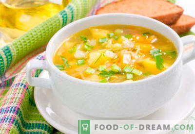 Fat burning soup - proven recipes. How to properly and tasty to cook fat burning soup.