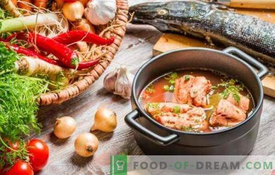 zuppa di pesce rosso - gusto eccellente e massimo beneficio. Una selezione delle migliori ricette di zuppa di pesce rosso con miglio, pomodori, caviale rosso