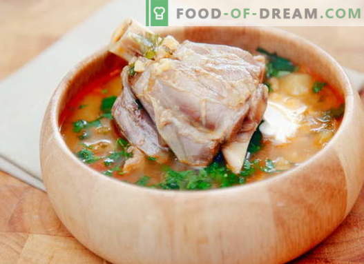 Zuppa di montone - le migliori ricette. Come cucinare correttamente e gustoso zuppa di agnello.