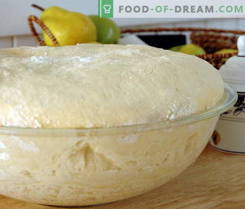 Pasta lievitata - le migliori ricette. Come preparare la pasta lievitata.
