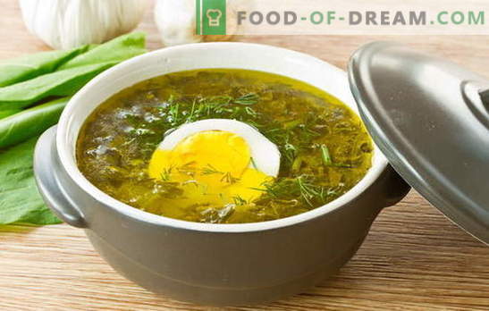 Zuppa di acetosa - carica estiva! Ricette per zuppa ossalica con uova, polpette di carne, riso, pollo, spezzatino