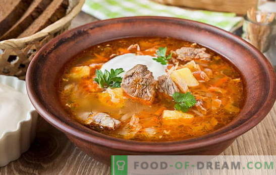 Zuppa di cavolo fresco - 10 migliori ricette. Varianti di zuppa di cavolo con carne di manzo, pollo, maiale, carne affumicata, fagioli