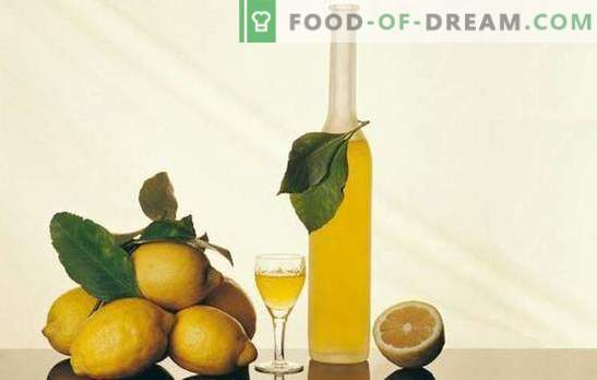 Tintura di limone e segreti della sua preparazione. Ricette di tintura al limone per un bar fatto in casa con un rinfrescante profumo di agrumi