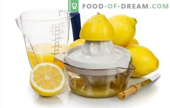 Fare il succo di limone - ricette dal sapore divino! Succo di limone: ricette di bevande alcoliche e non alcoliche con esso