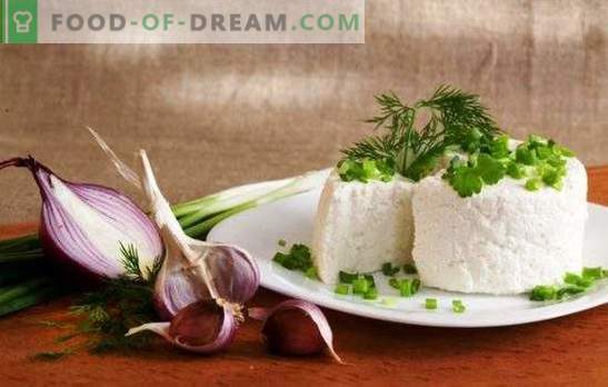 Il formaggio di capra è un prodotto sano. Quali piatti possono essere preparati utilizzando il formaggio di capra?