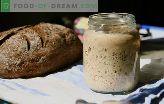 Pane a lievitazione naturale - il segreto principale di deliziosi pasticcini rustici. Testate e nuove ricette collaudate per pane a lievitazione naturale