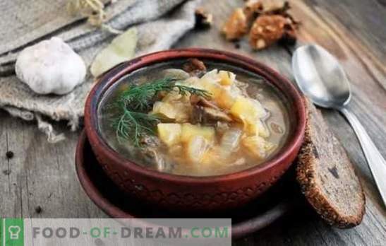 Viziate la vostra casa con una deliziosa zuppa di cavolo fresca con funghi. Ricette per zuppa di cavolo fresco profumata con funghi