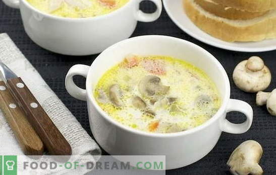 Zuppa di funghi: classica e originale. Ricette zuppa di crema di funghi leggeri per la cena aziendale e casalinga