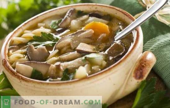 Sopa de champiñones con champiñones porcini: ¡el más favorito! Recetas de sopa de champiñones con porcini: con crema, pasta, cebada, tocino