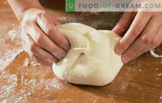 Pasta per pizza in acqua: come cucinare e cuocere la più semplice piadina italiana. Ricette di pasta per pizza in acqua