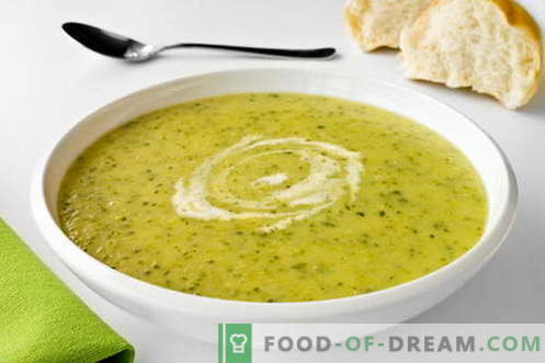 Zuppa di zucchine - le migliori ricette. Come cucinare correttamente e gustose zuppe di zucchine.
