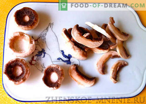 Sopa de cogumelos - uma receita com fotos e descrição passo a passo