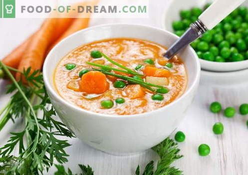 Purea di zuppa - le migliori ricette. Come cucinare correttamente e deliziosamente le zuppe.