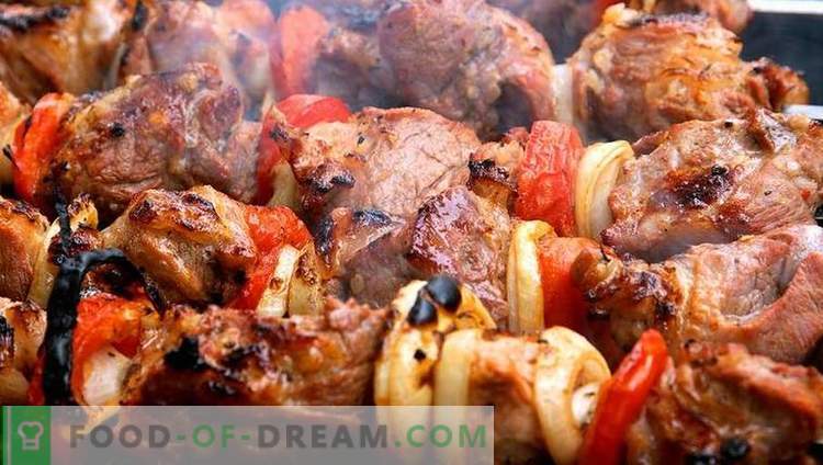 5 mejores adobos para kebabs: selecciona y cocina tus kebabs originales
