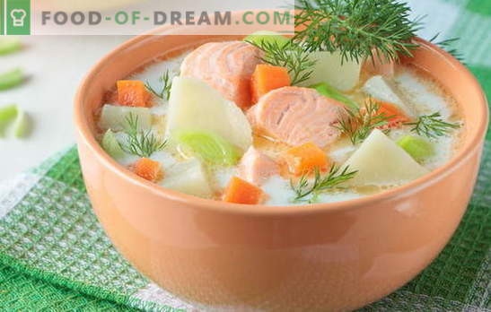 Zuppa di pesce rosso - come adulti e bambini. Ricette passo-passo per deliziose zuppe di pesce rosso: salmone, salmone, salmone rosa