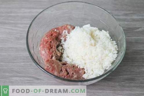 Polpette di carne di riccio - un piatto di carne per bambini e adulti!